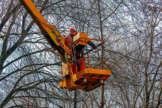cherry-picker-hire-company